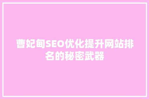 曹妃甸SEO优化提升网站排名的秘密武器