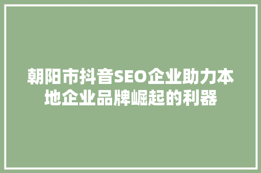 朝阳市抖音SEO企业助力本地企业品牌崛起的利器