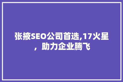 张掖SEO公司首选,17火星，助力企业腾飞