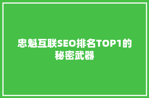 忠魁互联SEO排名TOP1的秘密武器