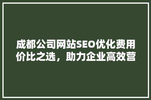 成都公司网站SEO优化费用价比之选，助力企业高效营销