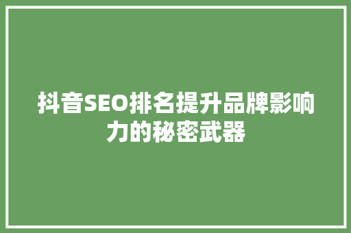 抖音SEO排名提升品牌影响力的秘密武器