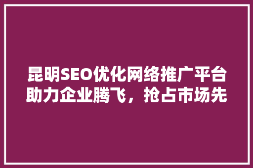 昆明SEO优化网络推广平台助力企业腾飞，抢占市场先机