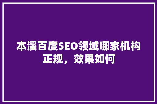 本溪百度SEO领域哪家机构正规，效果如何