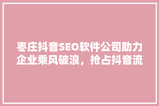 枣庄抖音SEO软件公司助力企业乘风破浪，抢占抖音流量高地