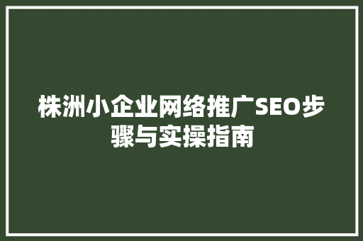 株洲小企业网络推广SEO步骤与实操指南