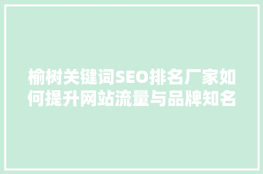 榆树关键词SEO排名厂家如何提升网站流量与品牌知名度