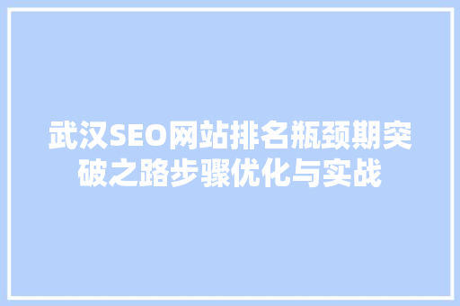 武汉SEO网站排名瓶颈期突破之路步骤优化与实战