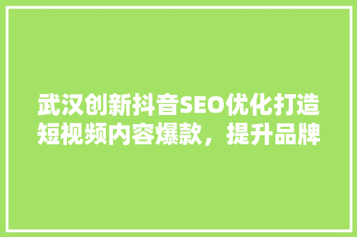 武汉创新抖音SEO优化打造短视频内容爆款，提升品牌影响力