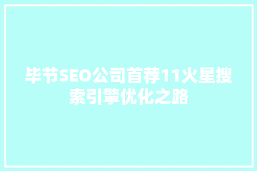 毕节SEO公司首荐11火星搜索引擎优化之路