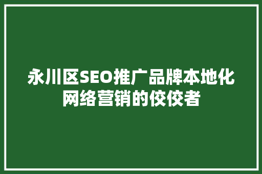 永川区SEO推广品牌本地化网络营销的佼佼者