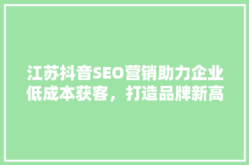 江苏抖音SEO营销助力企业低成本获客，打造品牌新高度
