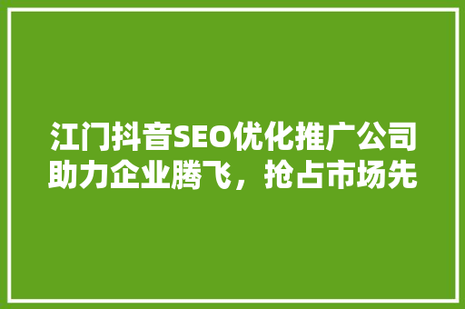 江门抖音SEO优化推广公司助力企业腾飞，抢占市场先机