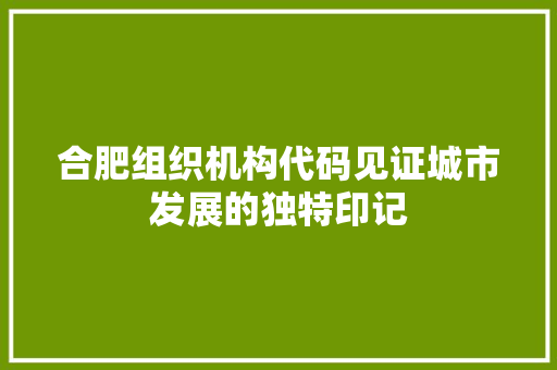 合肥组织机构代码见证城市发展的独特印记