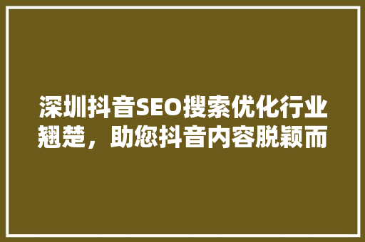 深圳抖音SEO搜索优化行业翘楚，助您抖音内容脱颖而出