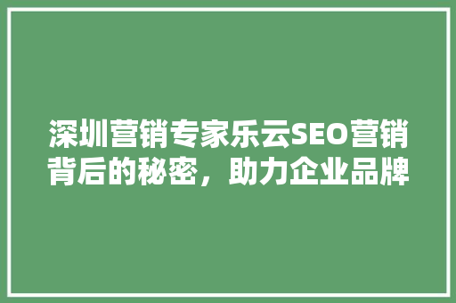 深圳营销专家乐云SEO营销背后的秘密，助力企业品牌崛起
