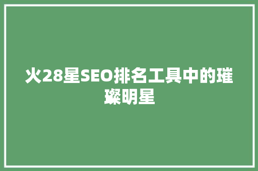 火28星SEO排名工具中的璀璨明星  第1张