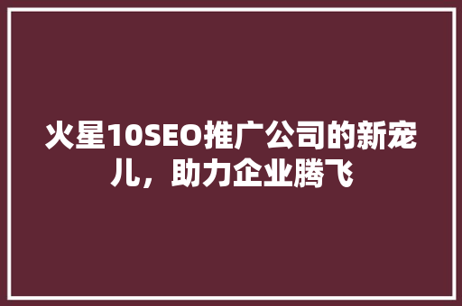 火星10SEO推广公司的新宠儿，助力企业腾飞