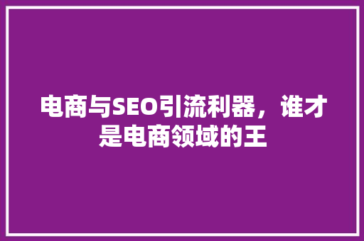 电商与SEO引流利器，谁才是电商领域的王