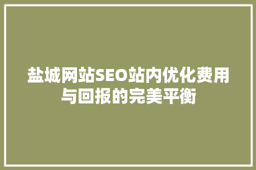盐城网站SEO站内优化费用与回报的完美平衡