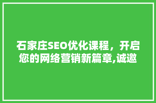 石家庄SEO优化课程，开启您的网络营销新篇章,诚邀加盟代理，共创辉煌未来  第1张