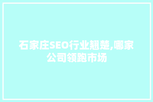 石家庄SEO行业翘楚,哪家公司领跑市场