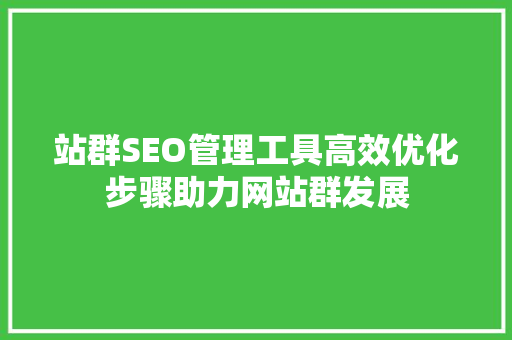站群SEO管理工具高效优化步骤助力网站群发展