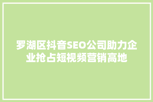 罗湖区抖音SEO公司助力企业抢占短视频营销高地