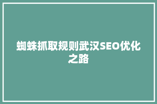 蜘蛛抓取规则武汉SEO优化之路