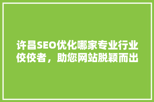 许昌SEO优化哪家专业行业佼佼者，助您网站脱颖而出