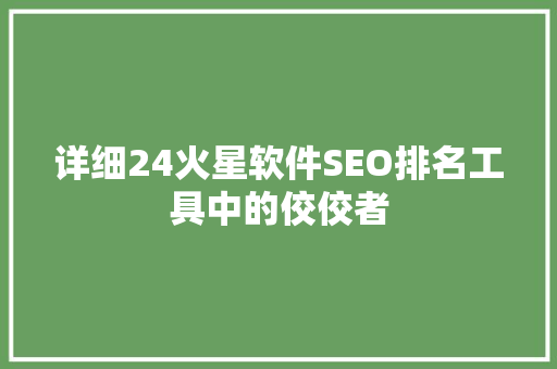 详细24火星软件SEO排名工具中的佼佼者