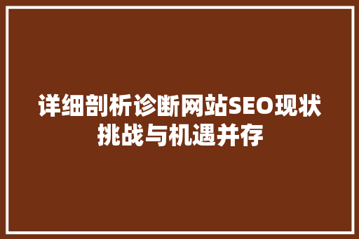 详细剖析诊断网站SEO现状挑战与机遇并存