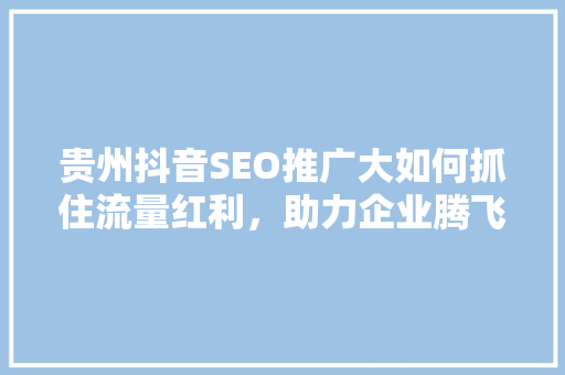 贵州抖音SEO推广大如何抓住流量红利，助力企业腾飞