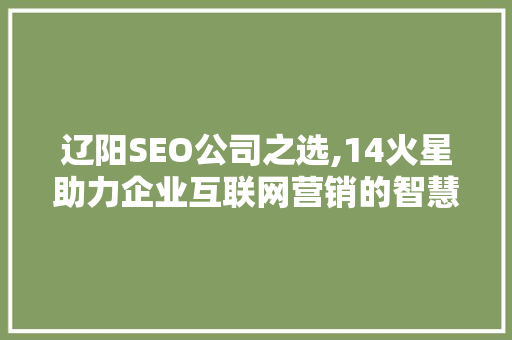 辽阳SEO公司之选,14火星助力企业互联网营销的智慧之选