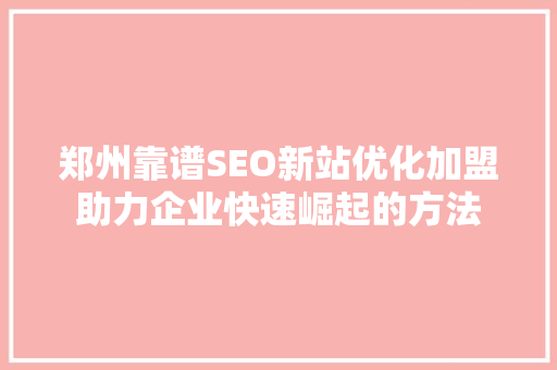 郑州靠谱SEO新站优化加盟助力企业快速崛起的方法