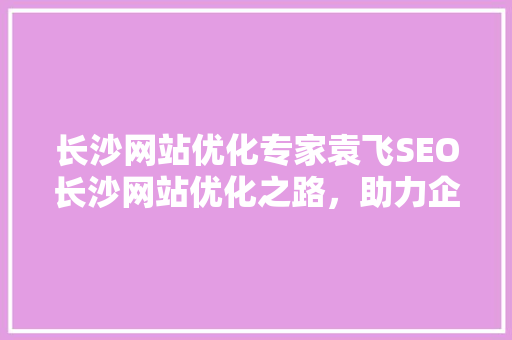 长沙网站优化专家袁飞SEO长沙网站优化之路，助力企业腾飞