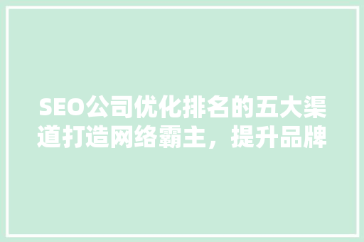 SEO公司优化排名的五大渠道打造网络霸主，提升品牌影响力