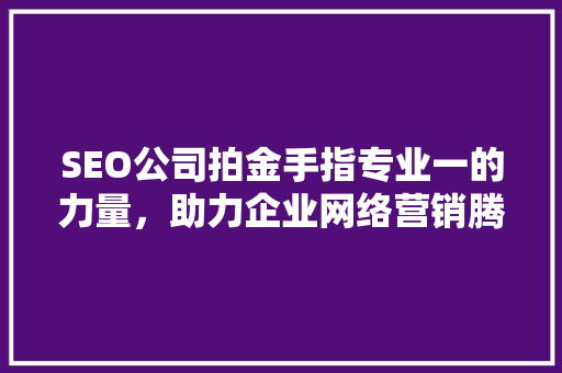 SEO公司拍金手指专业一的力量，助力企业网络营销腾飞