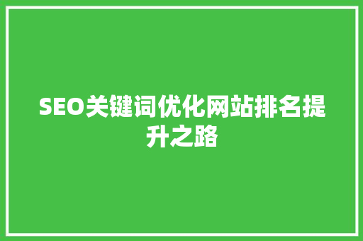 SEO关键词优化网站排名提升之路