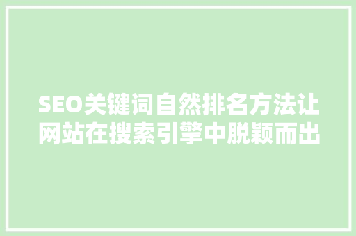 SEO关键词自然排名方法让网站在搜索引擎中脱颖而出