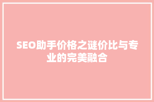 SEO助手价格之谜价比与专业的完美融合