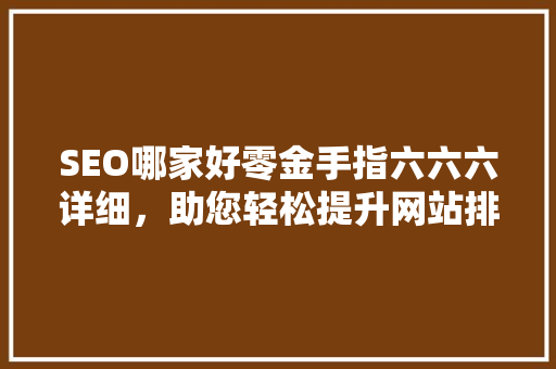 SEO哪家好零金手指六六六详细，助您轻松提升网站排名  第1张