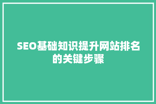 SEO基础知识提升网站排名的关键步骤  第1张