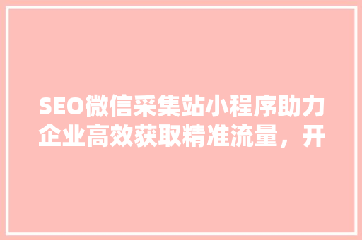 SEO微信采集站小程序助力企业高效获取精准流量，开启营销新篇章  第1张