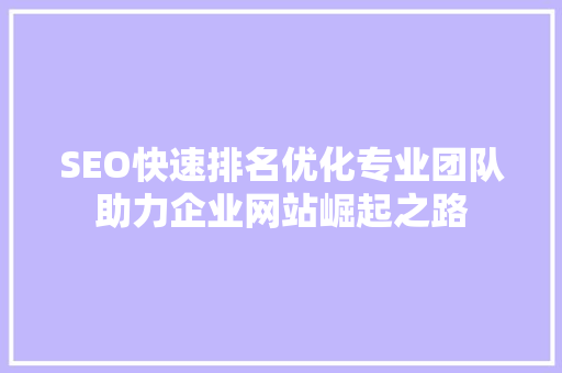 SEO快速排名优化专业团队助力企业网站崛起之路