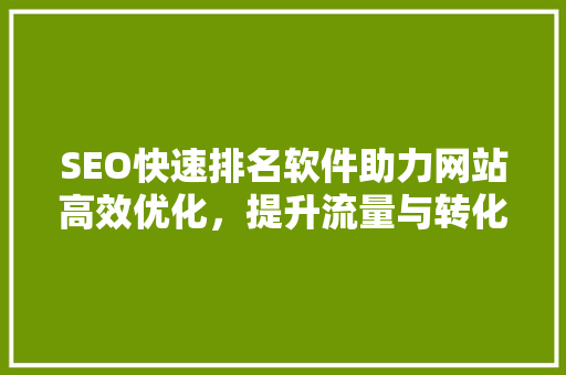 SEO快速排名软件助力网站高效优化，提升流量与转化  第1张