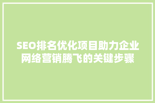 SEO排名优化项目助力企业网络营销腾飞的关键步骤