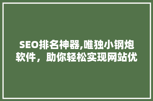 SEO排名神器,唯独小钢炮软件，助你轻松实现网站优化
