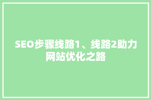 SEO步骤线路1、线路2助力网站优化之路