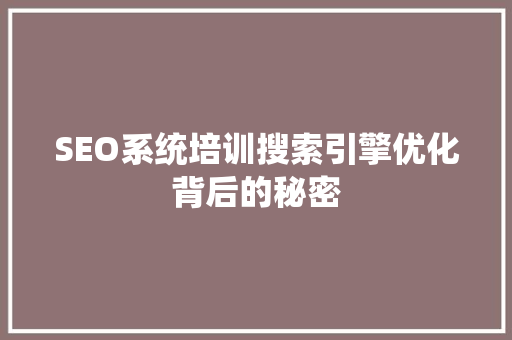 SEO系统培训搜索引擎优化背后的秘密